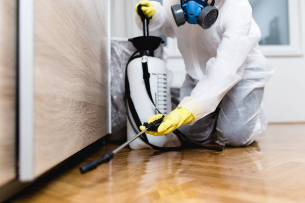 Best Cockroach Control Services  in Jamesburg, NJ