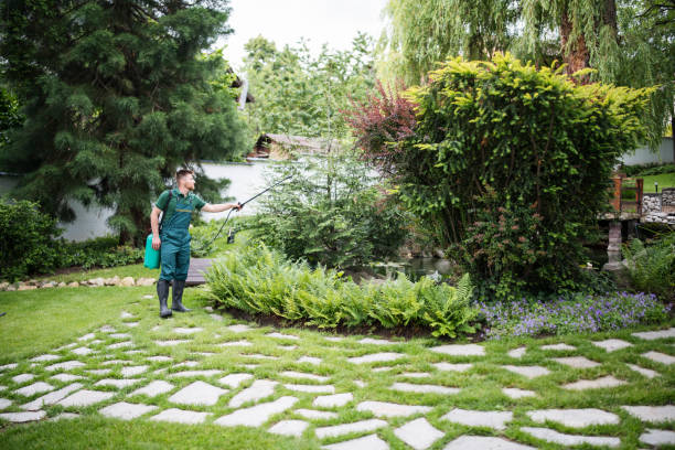 Best Affordable Pest Control Services  in Jamesburg, NJ