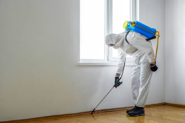 Best Affordable Pest Control Services  in Jamesburg, NJ