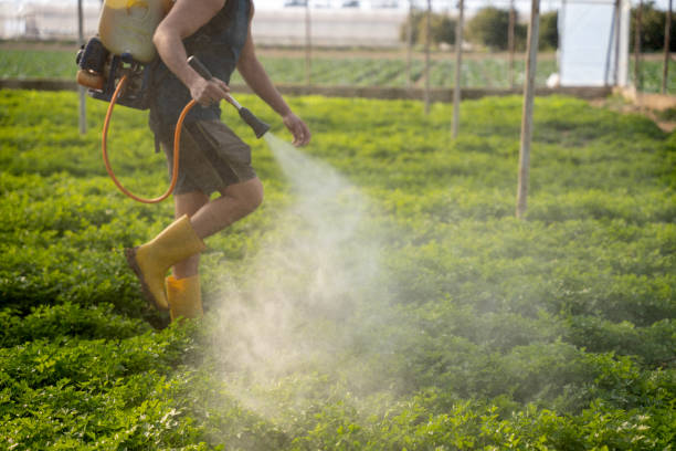 Best Pest Removal Services  in Jamesburg, NJ