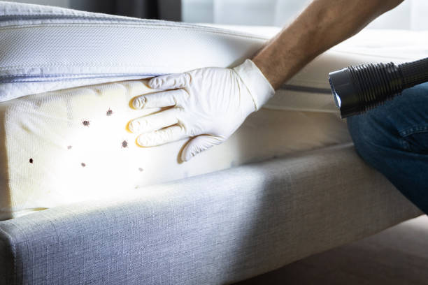 Pest Control for Restaurants in Jamesburg, NJ