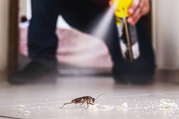 Best Local Pest Control Services  in Jamesburg, NJ