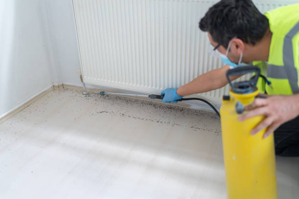 Best Pest Control Cost  in Jamesburg, NJ
