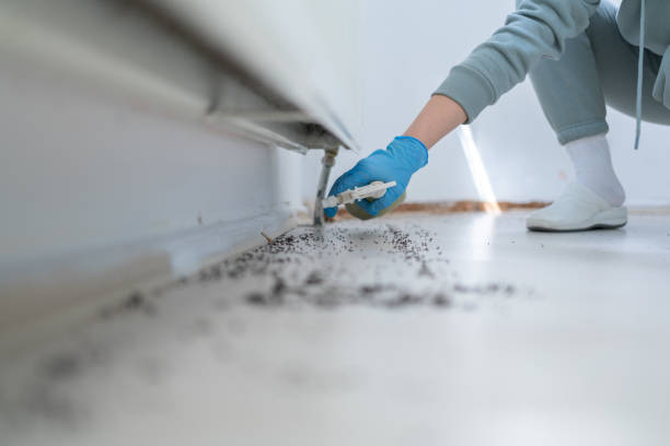 Best Best Pest Control Companies  in Jamesburg, NJ